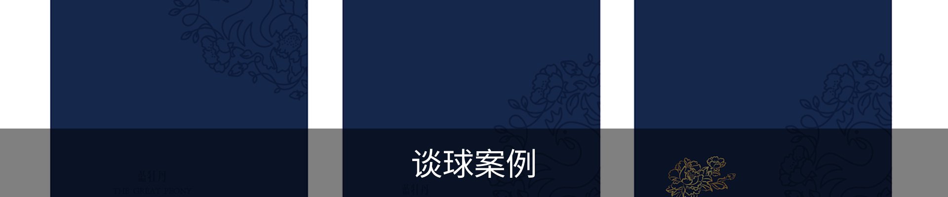 谈球案例